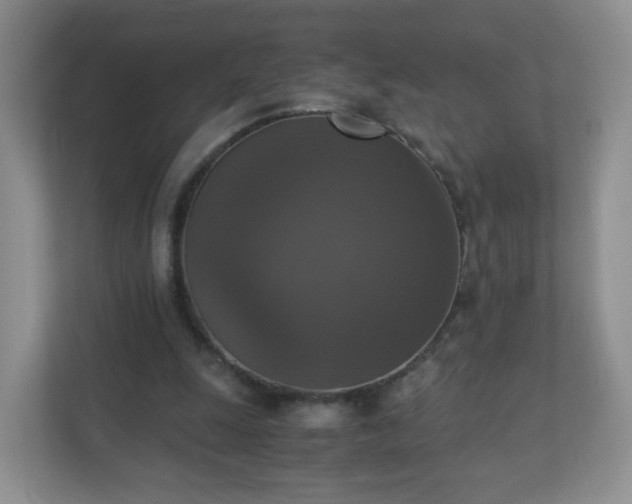 X0000110710247200906191553