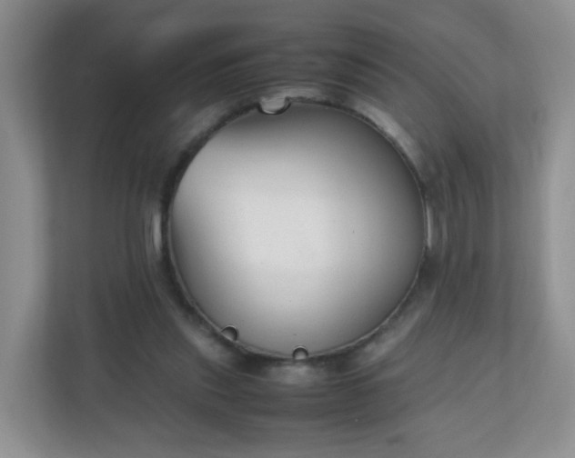 X0000110710253200906191553