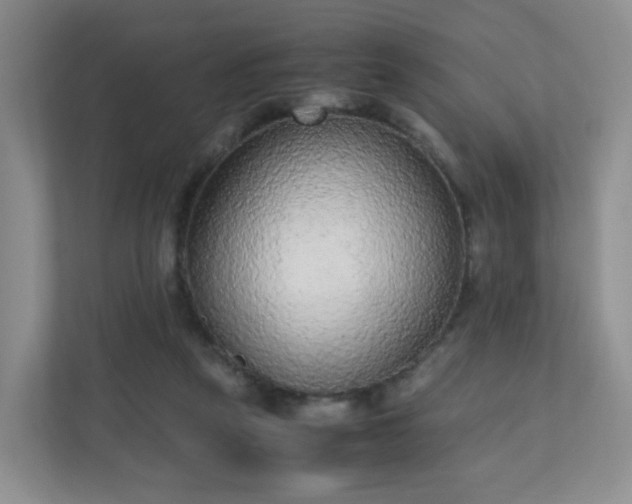 X0000110710257200906191553
