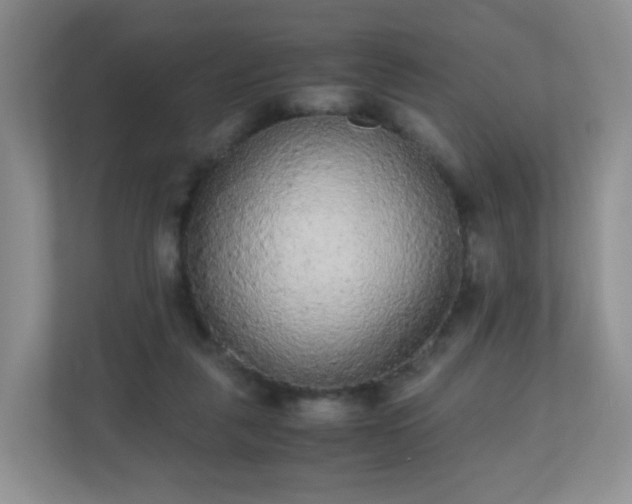 X0000110710259200906191553