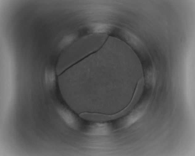X0000110710260200906191553