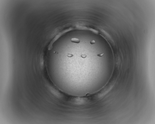 X0000110710261200906191553
