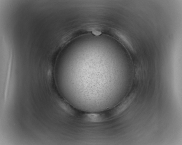 X0000110710265200906191553