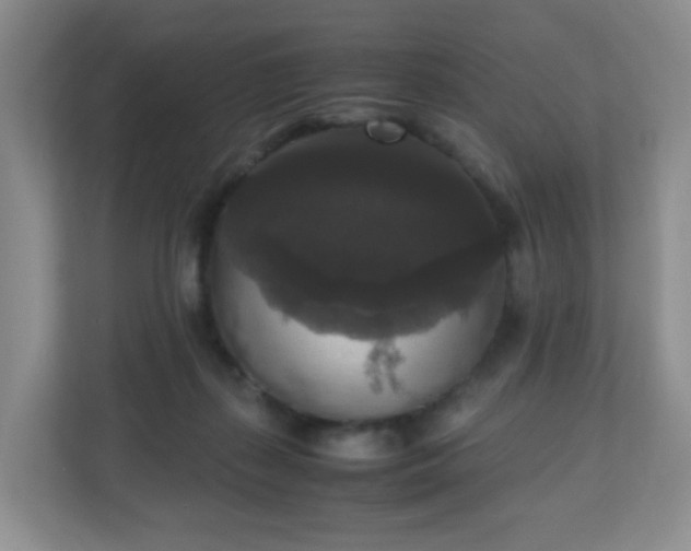 X0000110710267200906191553