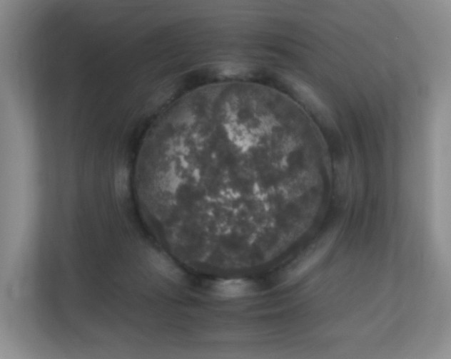 X0000110710269200906191553