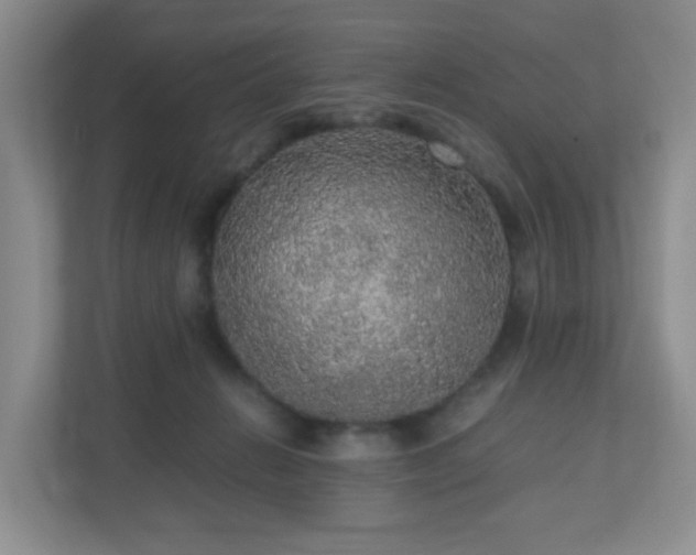 X0000110710270200906191553