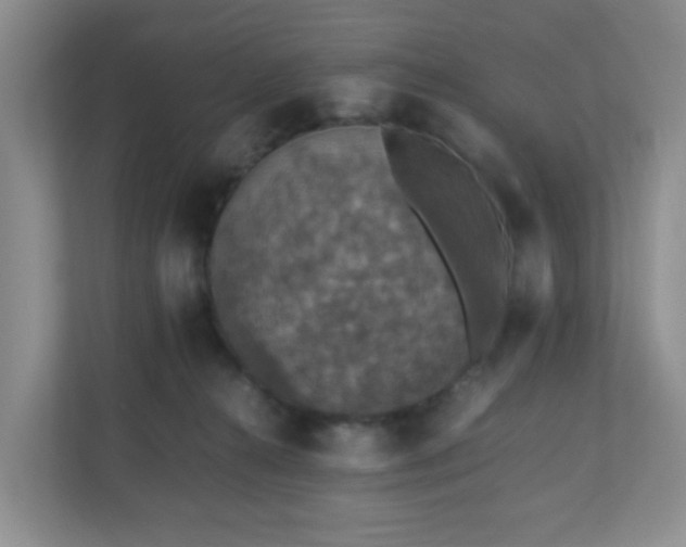 X0000110710272200906191553