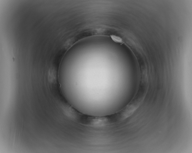 X0000110710274200906191553