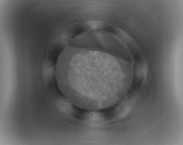 X0000110710276200906191553