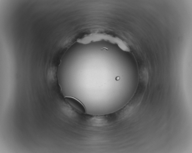 X0000110710280200906191553