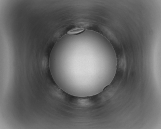 X0000110710283200906191553