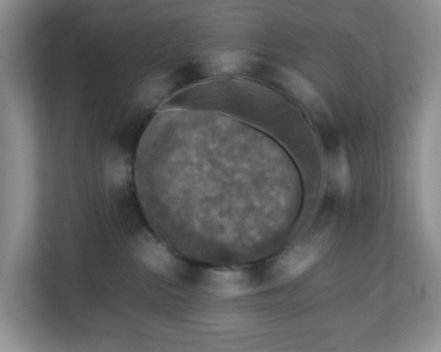 X0000110710284200906191553