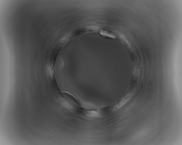 X0000110710285200906191554