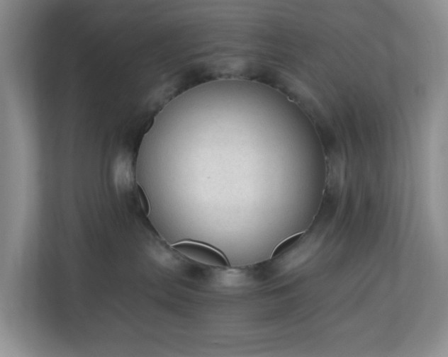 X0000110710287200906191554