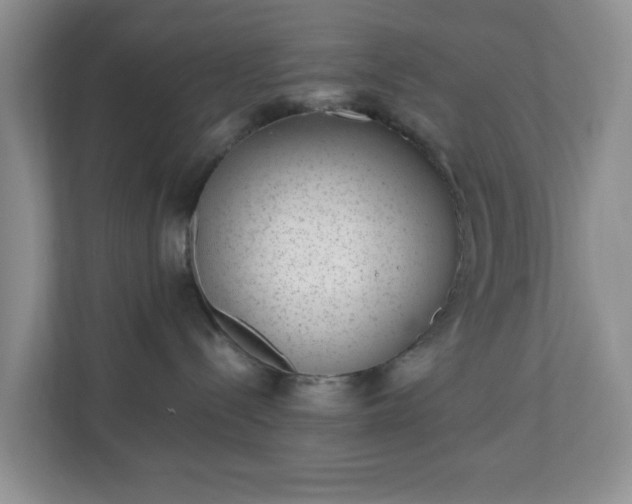X0000110710288200906191554