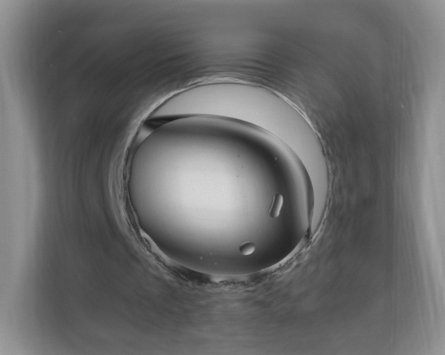 X0000110710289200906191553