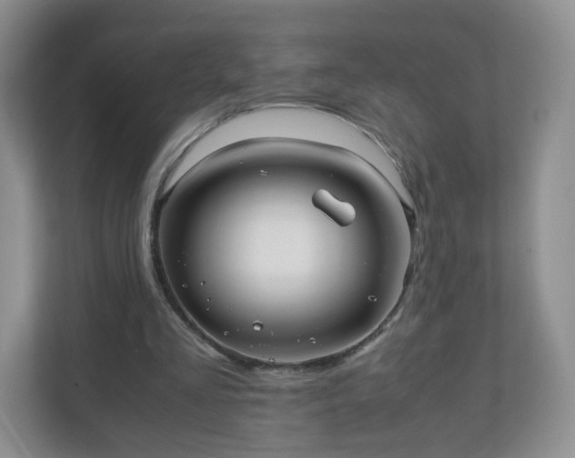 X0000110710293200906191553