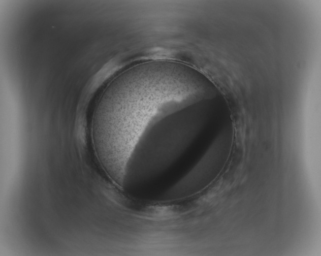 X0000110710295200906191553