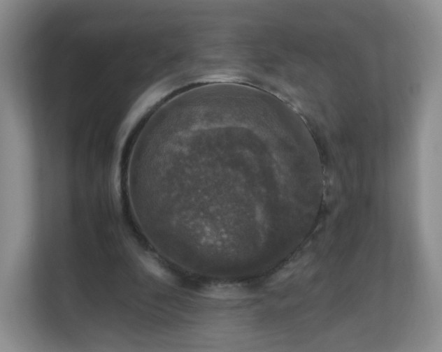 X0000110710296200906191553