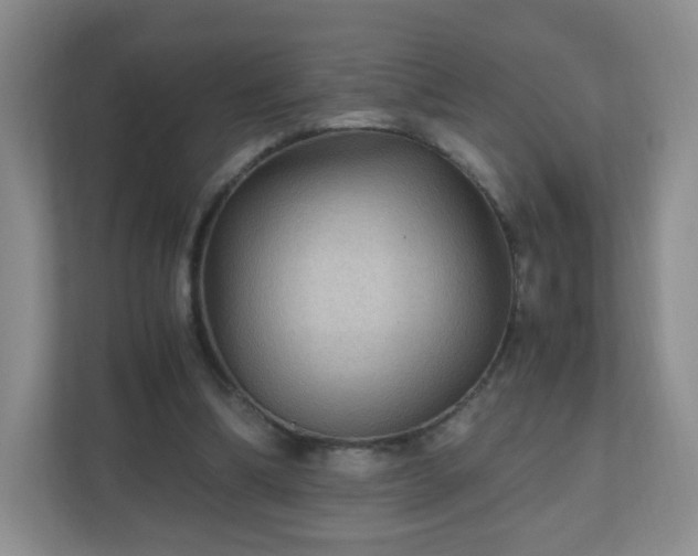 X0000110710298200906191553