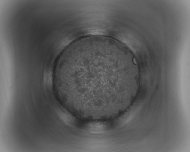 X0000110710299200906191553