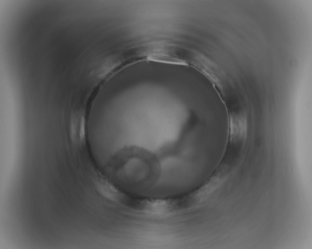X0000110710301200906191553