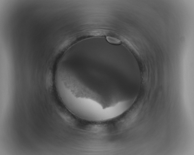 X0000110710303200906191553