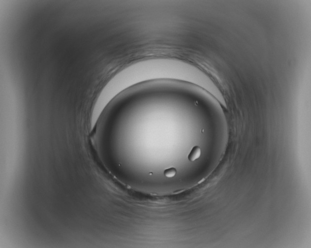 X0000110710309200906191553