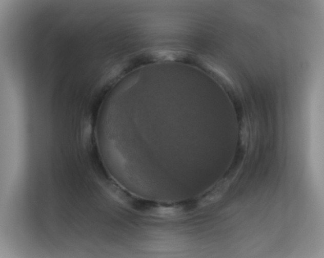X0000110710314200906191553