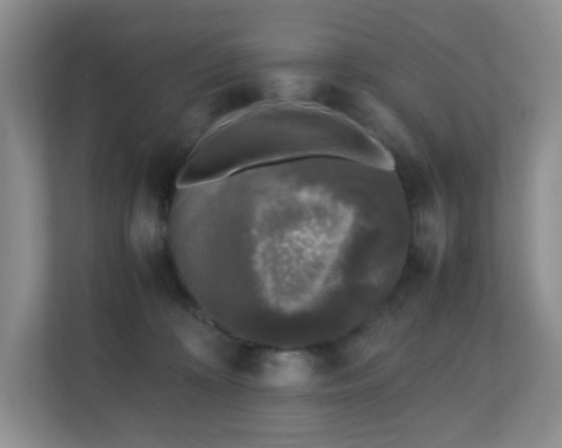 X0000110710324200906191552