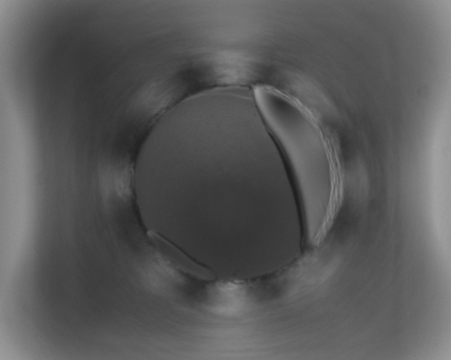 X0000110710325200906191552