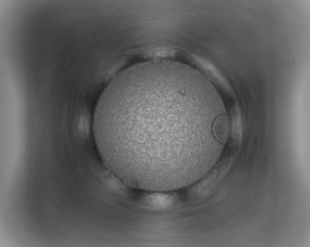 X0000110710326200906191552