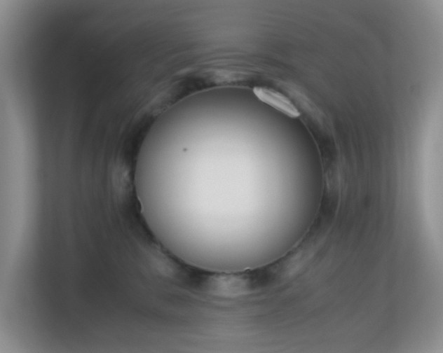 X0000110710327200906191552
