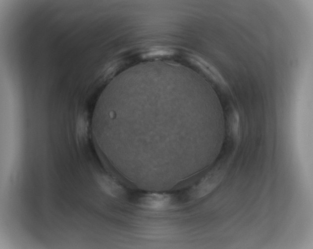 X0000110710328200906191552