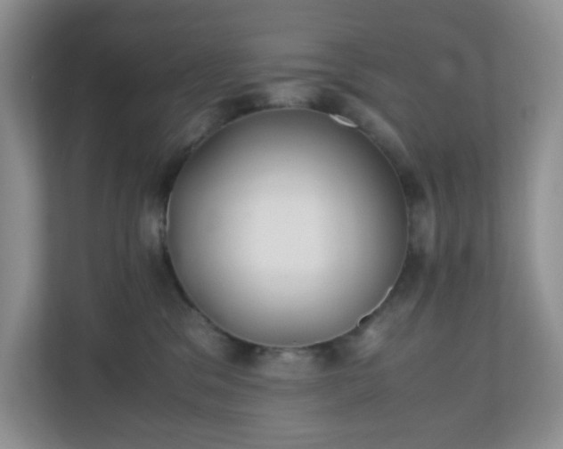 X0000110710329200906191552
