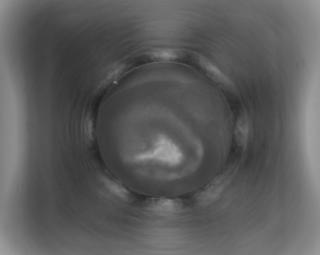 X0000110710330200906191552