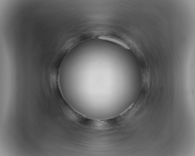 X0000110710333200906191552