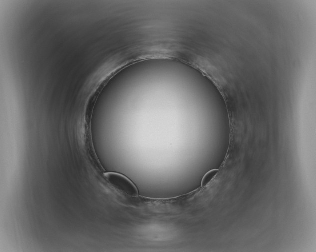 X0000110710338200906191552
