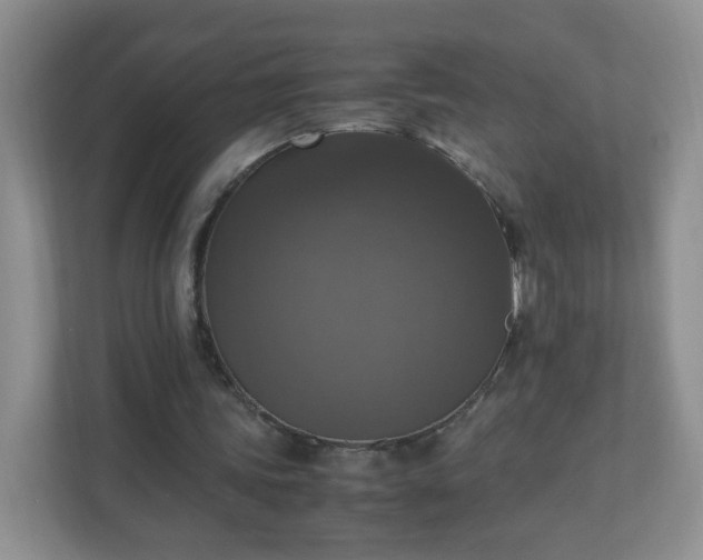 X0000110710339200906191552