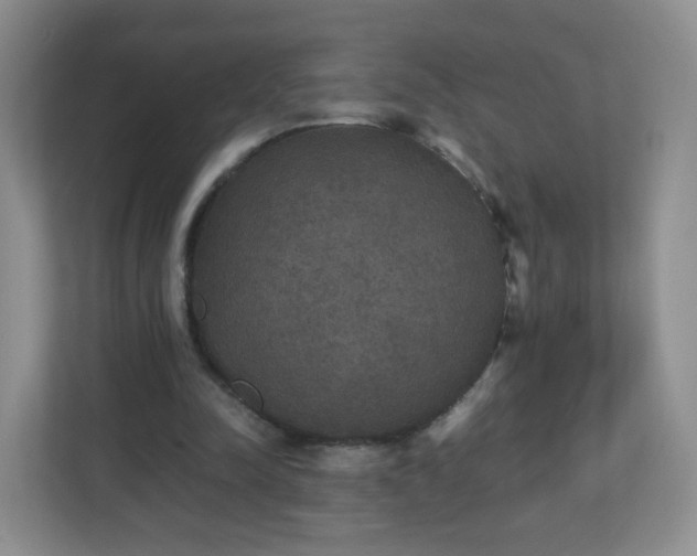 X0000110710342200906191552