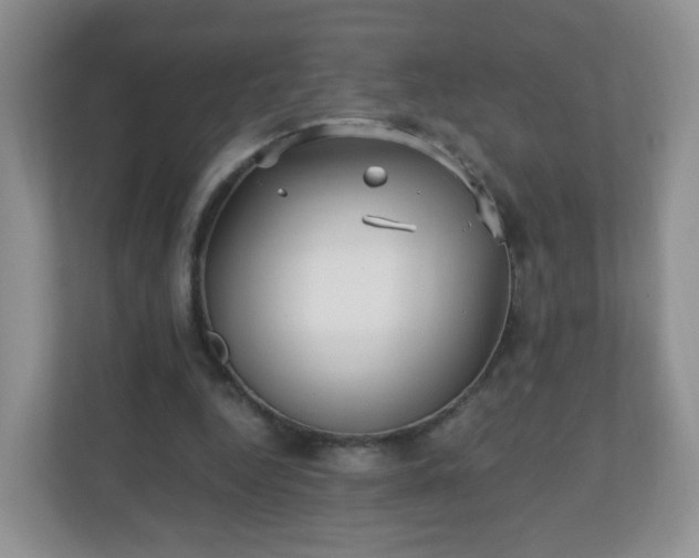 X0000110710344200906191552