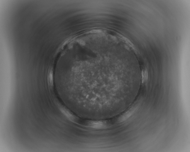 X0000110710349200906191552