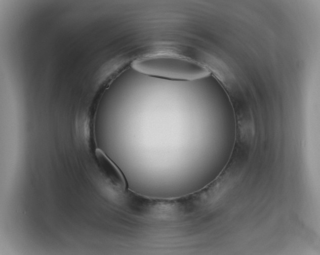 X0000110710350200906191552