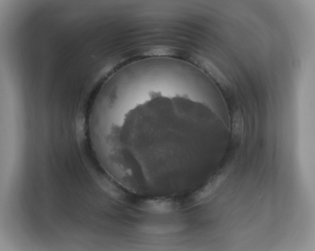 X0000110710351200906191552