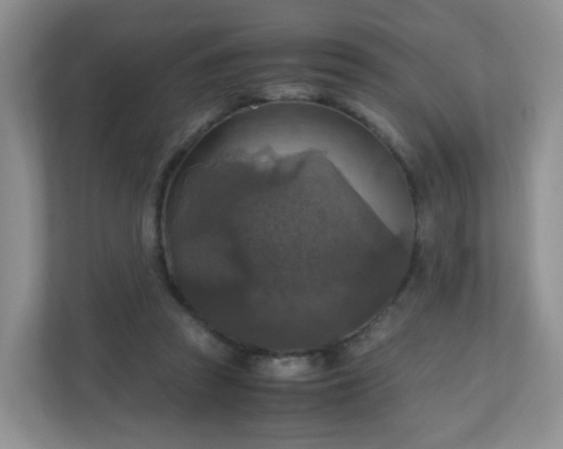 X0000110710353200906191552