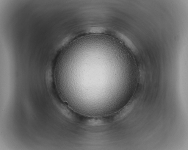 X0000110710354200906191552