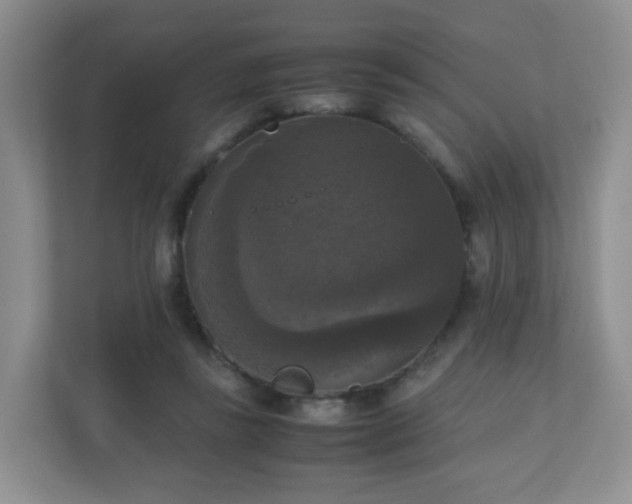 X0000110710355200906191552