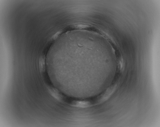 X0000110710360200906191552
