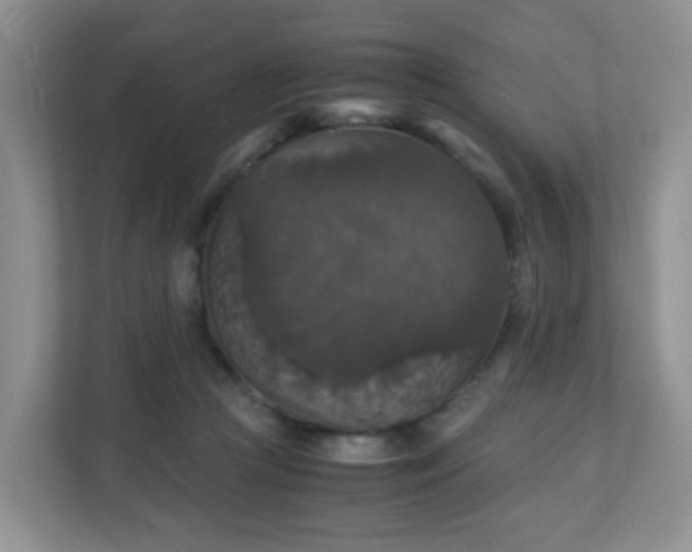 X0000110710361200906191552
