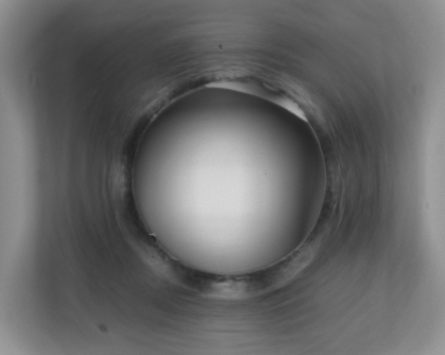 X0000110710362200906191552